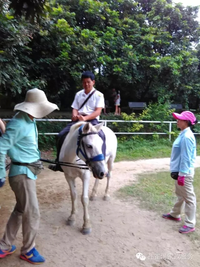 ���ҷ���׌��������á�2015��B�T(m��n)�м�����(ji��)���(d��ng)��