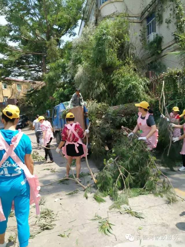 ��������y���������