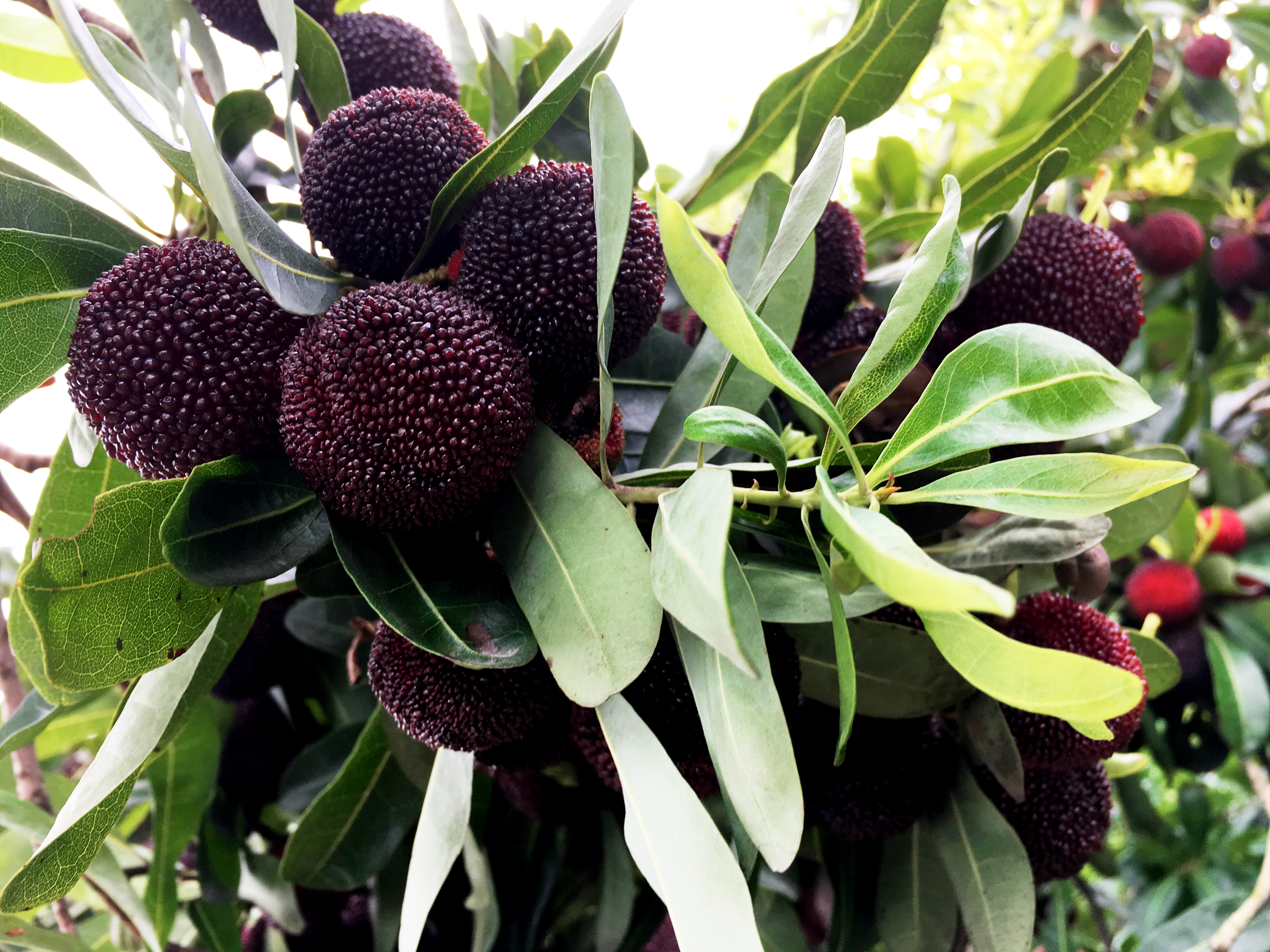 ���؄e��Ϣ���@�ε��ի@�H�S����ȸ���H�ӻ��(d��ng)�����Y(ji��)������