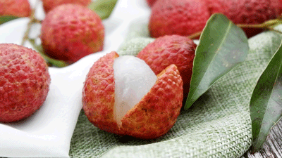 ��֦����һ���@��������ȸ����ɩ��Ӗ(x��n)���f��